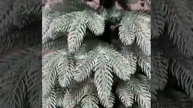 премиум голубая смотреть онлайн