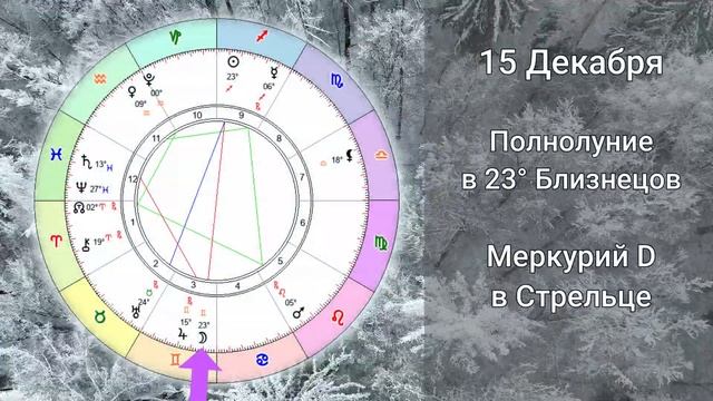 ТЕЛЕЦ - Гороскоп на ДЕКАБРЬ 2024