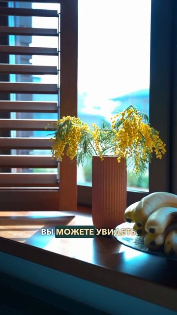 😎 Наш ЛУЧШИЙ проект одноэтажного дома «Мокко» на Open Vi смотреть онлайн