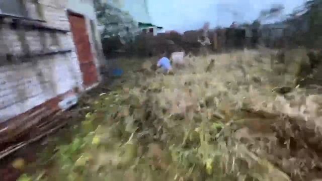 Прода из телеграмма // Декстер // Злой ОТЕЦ ЗАПЕР ДОЧЬ в смотреть онлайн