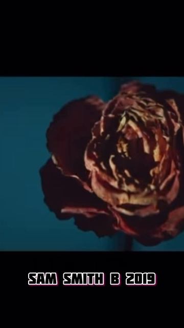 #samsmith #звезды #звездныеновости #знаменитости #музыка