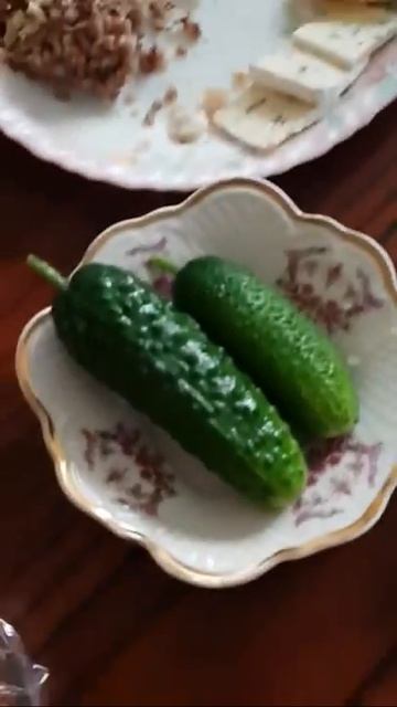 Первые огурцы с теплицы! Ну ооочень сладкие ! Kasvuhoonest sime смотреть онлайн