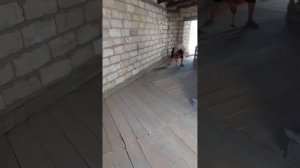 сарай для откорма бычков ( Бордакы кора 3 булим)