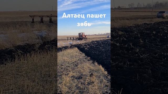 Т-4А Алтаец пашет зябь. Осенняя обработка земли. #automobile смотреть онлайн