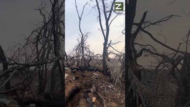 Военный Канал