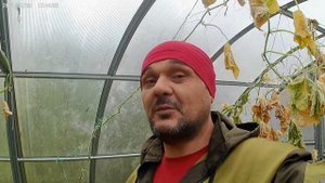 Серная шашка в парник из поликарбоната.