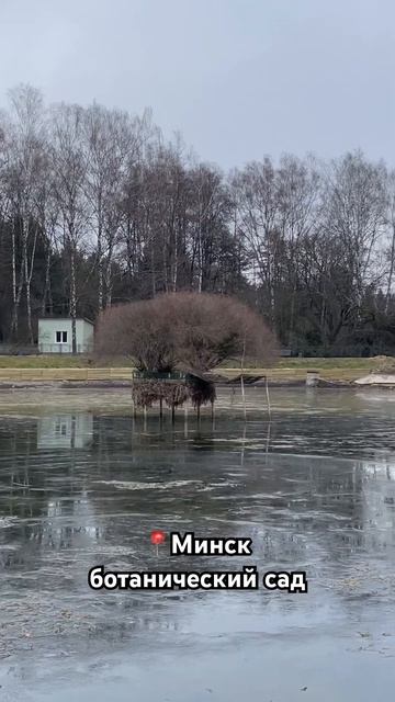 Кто там был? #природа#сад#растения#ботаническийсад#бот смотреть онлайн