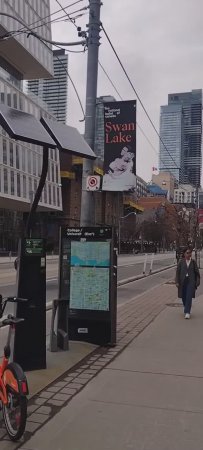 Торонто. Лебединое озеро. Апрель 2025.