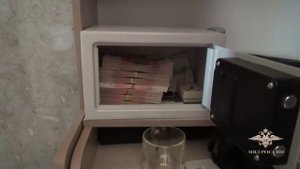 Ирина Волк: В Вологодской области полицейские задержали подозреваемого в мошенничестве