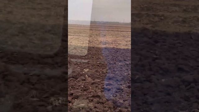 Пашем озимую пшеницу плугом ип Сергиенко #farming #сельск? смотреть онлайн