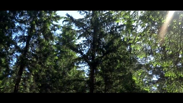 КАРПАТЫ  CARPATHIANS