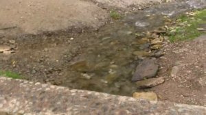 Тихие песни