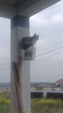 ТУСЯ- Домашний усилитель антенны