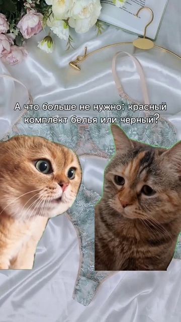 За идеальным комплектом переходи в шапку профиля #ниж?