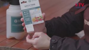 Защита растений от погодных влияний