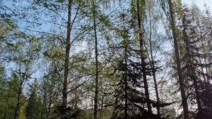 Стерлитамак.Парк Победы.Вечный огонь.