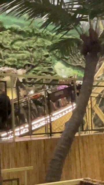 Аттракцион Кобра в Острове МЕЧТЫ смотреть онлайн