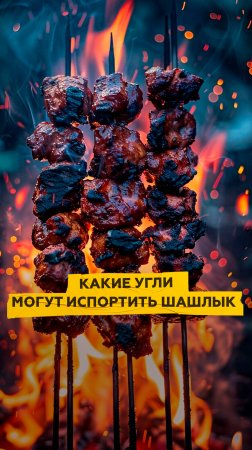 Какие угли могут испортить ваш шашлык?