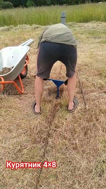 курятник на 200 голів смотреть онлайн