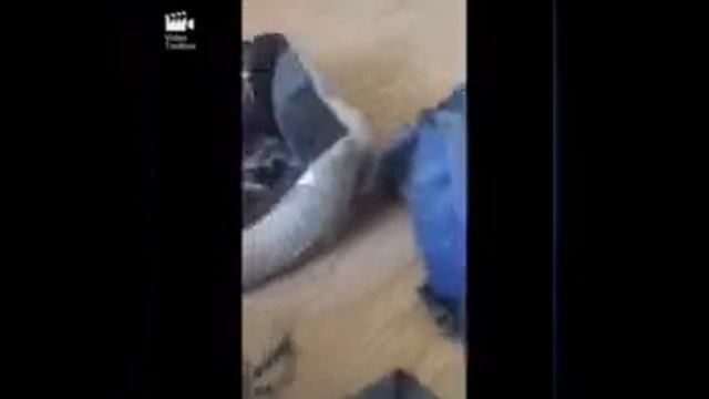 Кроватка для пёсика Шьём чехол для его кроватки. Шьём ? смотреть онлайн