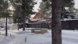 Встречаем Новый год на даче. Традиционные салаты. Новогоднее печенье