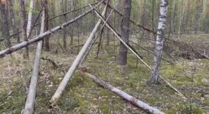 Постройки снежного человека. Владимирская область 26.04.25