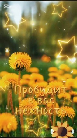 Замечательного утра!!!