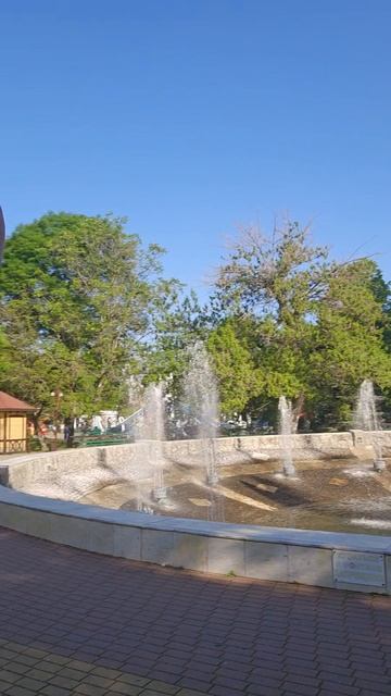 незабываемое утро