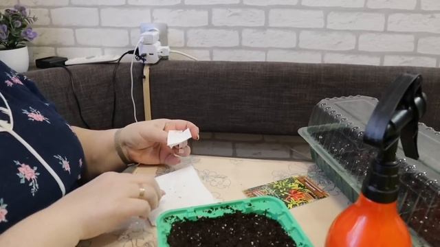 Мужское дело для моих парней. Посадила перчик. Вкусные пельмешки без спешки. смотреть онлайн