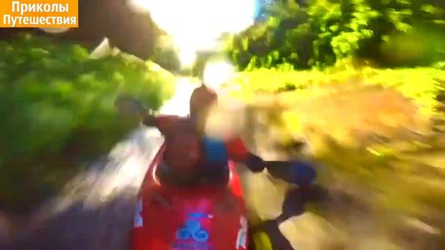 ПРИКОЛЫ МЕСЯЦА НОВЫЕ СМЕШНЫЕ ВИДЕО РОЛИКИ 2017 JOKES OF THE MONTH NEW FUNNY VIDEOS 2016 смотреть онлайн