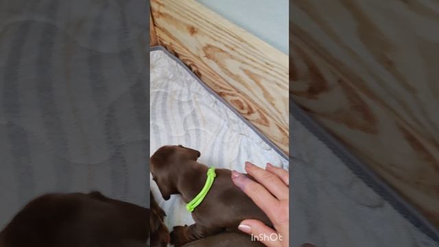 Счастья много не бывает.