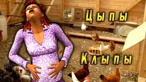 The Sims 2 "Цыпы Клыпы" Антидупелиное движение!