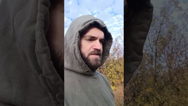 Сколько месяцев окупается глэмпинг или гостевые дома?