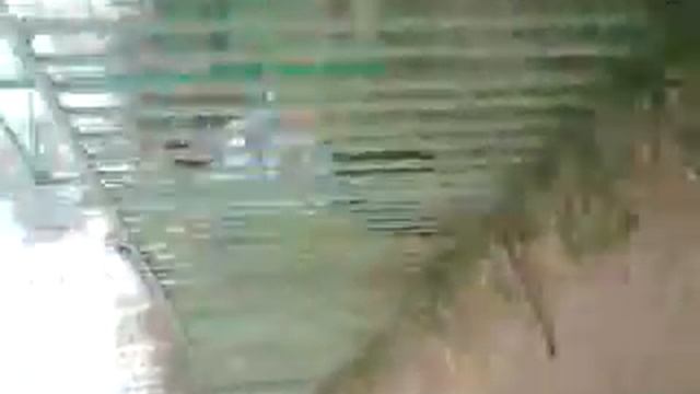 Чувак и забор)