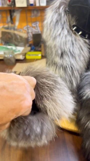 Дерзкий вариант смотреть онлайн