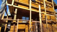 Покраска стен сруба и удаление Шашеля и Короеда.0963546656