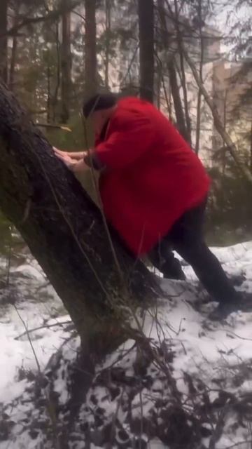 Бригадир лесорубов: -Вы чего придурки, топор забыли и п смотреть онлайн