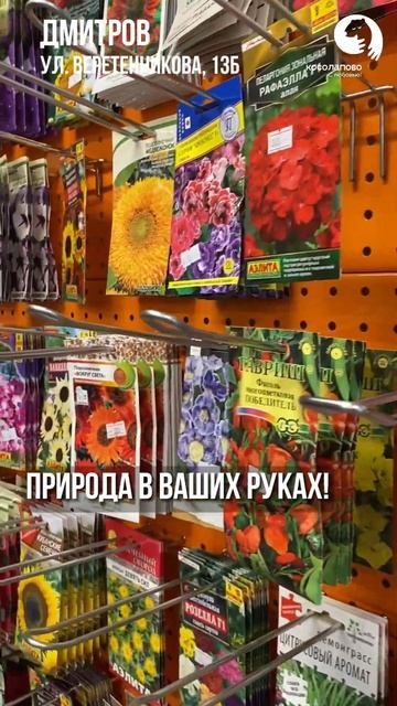 Семена для цветов: Создайте свой рай! смотреть онлайн