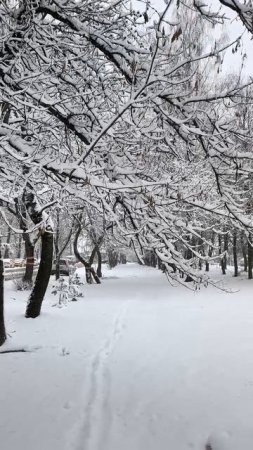 Заснеженная аллея на районе