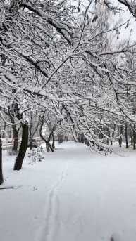 Заснеженная аллея на районе