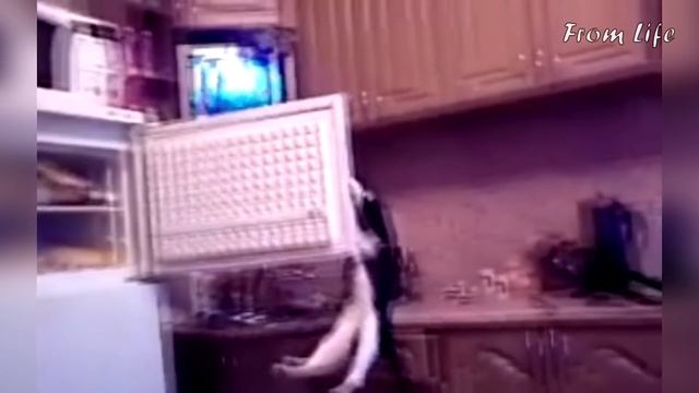 Мега смешные приколы и неудачи из жизни/ #ЯжеБлогер / Best fails From Life| #YesBloger смотреть онлайн