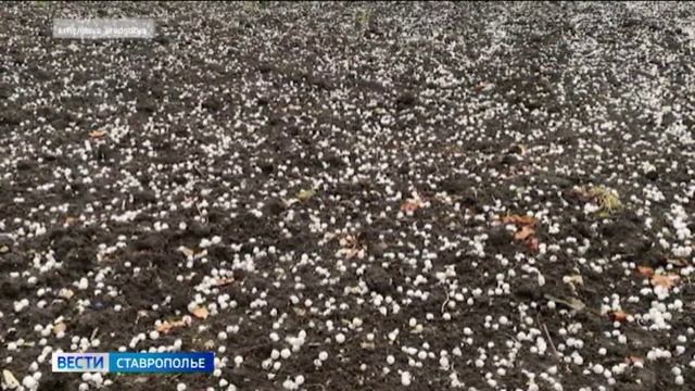 Дожди с градом и шквалистым ветром ожидаются на Ставрополье