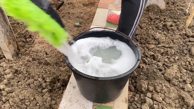 Как вырастить здоровый урожай! Лучшие средства от вре?