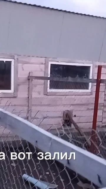 Как построить курятник) смотреть онлайн