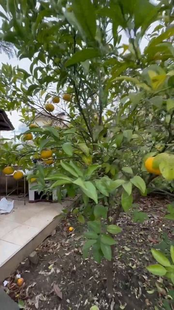 Дом в Сочи🏠 смотреть онлайн