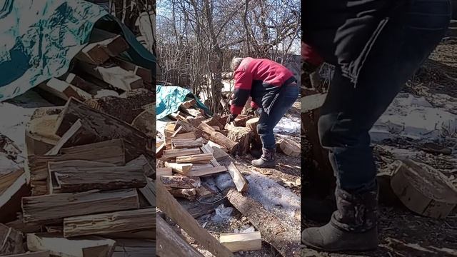 НАУКА  КОЛОТЬ  ДРОВА.