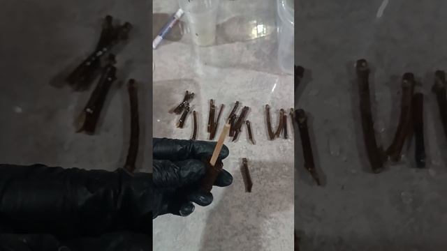 Пробки Jiffy Preforma - сегодня попробовала поставить черенк смотреть онлайн