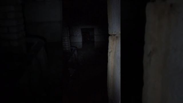 Проникновение в подвал (часть 3) смотреть онлайн