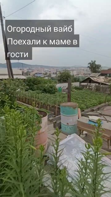 #юмор #адаптация #топ #тикток #природа #огород #огородкр смотреть онлайн