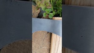 переделка из старого топора. обновленное видео. начал?